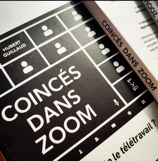 Couverture du livre, Coincés dans Zoom, chez Fyp éditions. 