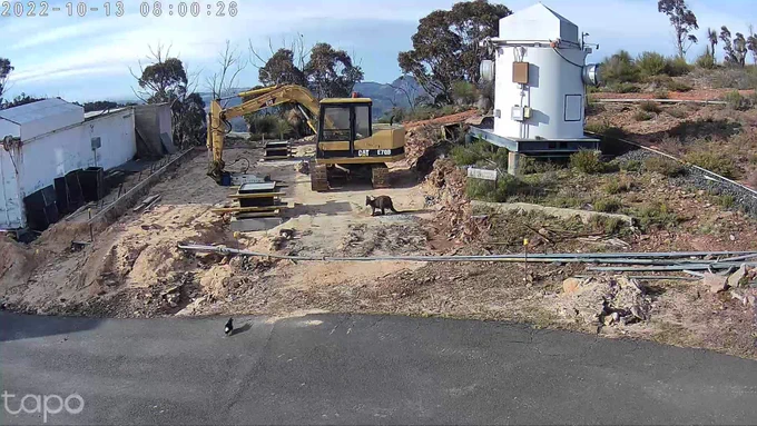 The GOTO-South construction site, with partially-built piers for the telescope to sit on. Centre-frame is a CAT excavator, with a wallaby and a magpie investigating the site. The ROTSE facility is also visible.
