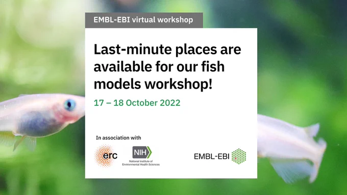 Last minute places are available for the EMBL-EBI fish models workshop. 17 - 18 October 2022. In association with ERC and NIH.