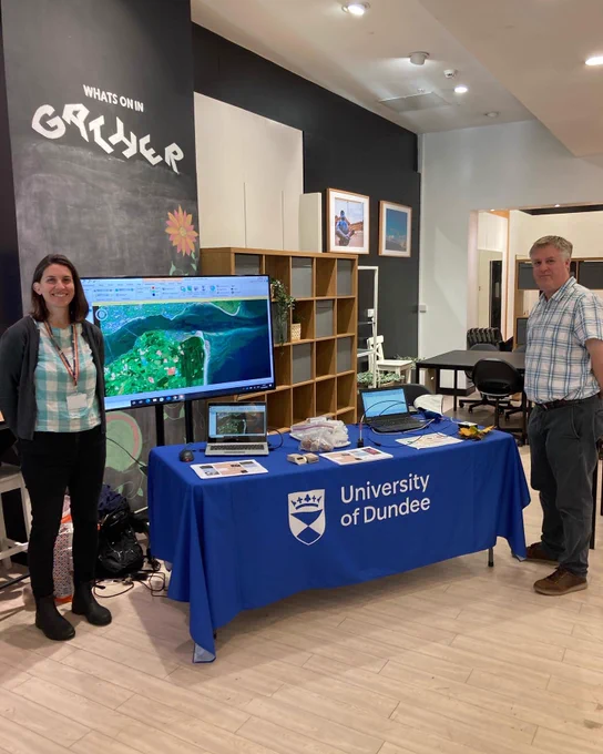 Display of satellite remote sensing imagery