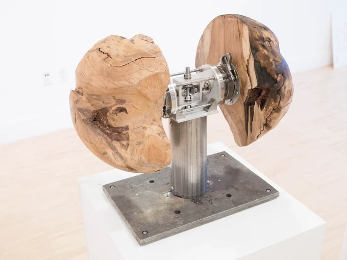 a strange, gnarled wooden orb is split in half, separated by a shiny metal gearbox. The whole thing is mounted on a central metal post which is on a thick metal stand. It rests on a pedestal.