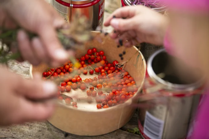 Close up photograph of a rounded cardboard takeaway container, inside the container are small red berries that are being put in by people whose hands can be seen in the background.