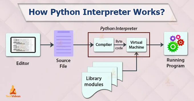 how a python works