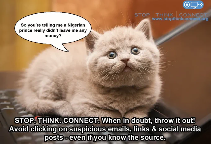 cyber security meme graphic with a cat that says when in doubt throw it out