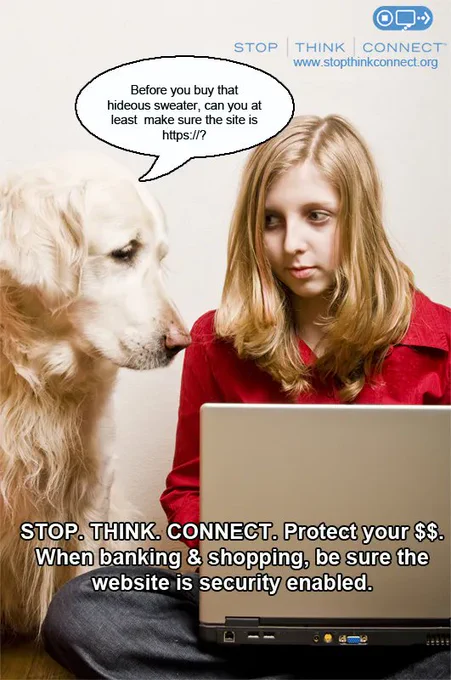 cyber security meme graphic with a dog that says to be sure shopping websites are security enabled