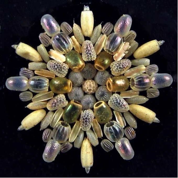 https://www.pinterest.ca/pin/307933693255233327/ 