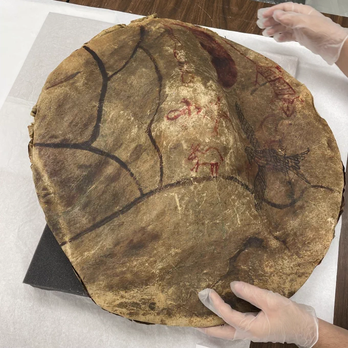 Close-up of a shield decorated with red and white illustrations of animals and abstract lines, sitting on a table. Two gloved hands are reaching toward the shield and touching its side.