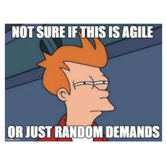 Futurama cartoon of squinting character with text: Not sure if this is agile or just random demands