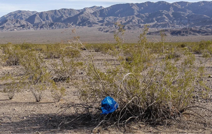 desert landscape featuring a deflated balloon on shrubs