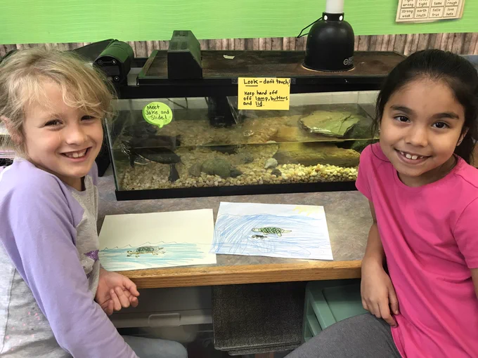 Students observing turtles