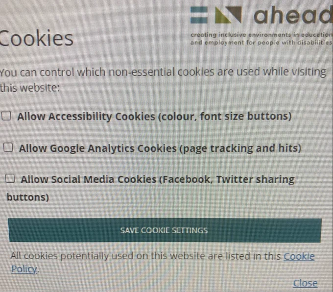 Screenshot showing different cookie options that users can select: accessibility cookies, Google Analytics cookies, and social media cookies.