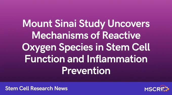 MSCRF Mount Sinai Research Stem Cell News