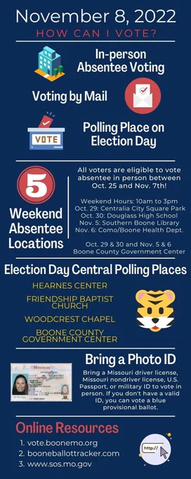 An infographic of options to vote. The text in the tweet thread explains the information