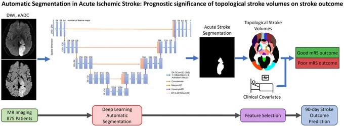 Graphic abstract in Wong, Cummock, and Li et al.