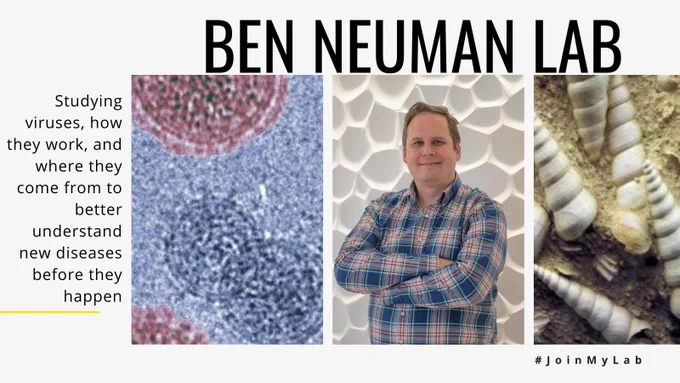Ben Neuman Lab: Studying viruses, how they work, and where they come from to better understand new diseases before they happen