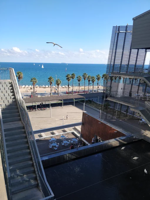 View from the PRBB building