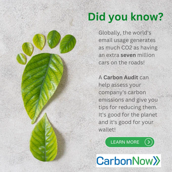 Green leaves on a grey background are shaped to symbolise Carbon Footprint. The text encourages small businesses to measure their carbon emissions with a Carbon Audit from CarbonNow
