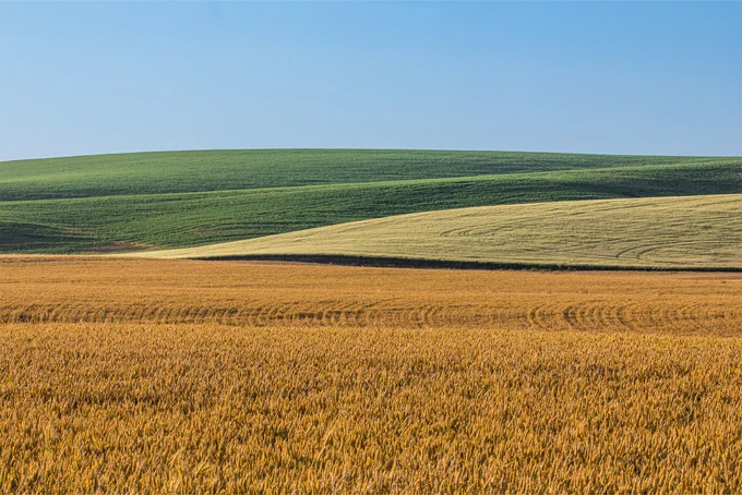 A sunny, rural landscape