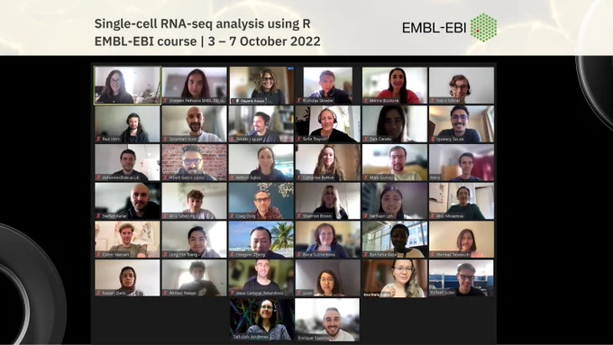 Single-cell RNA-seq analysis using R. EMBL-EBI course. 3 - 7 October 2022. A group of people on a zoom screenshot are smiling at the screen.