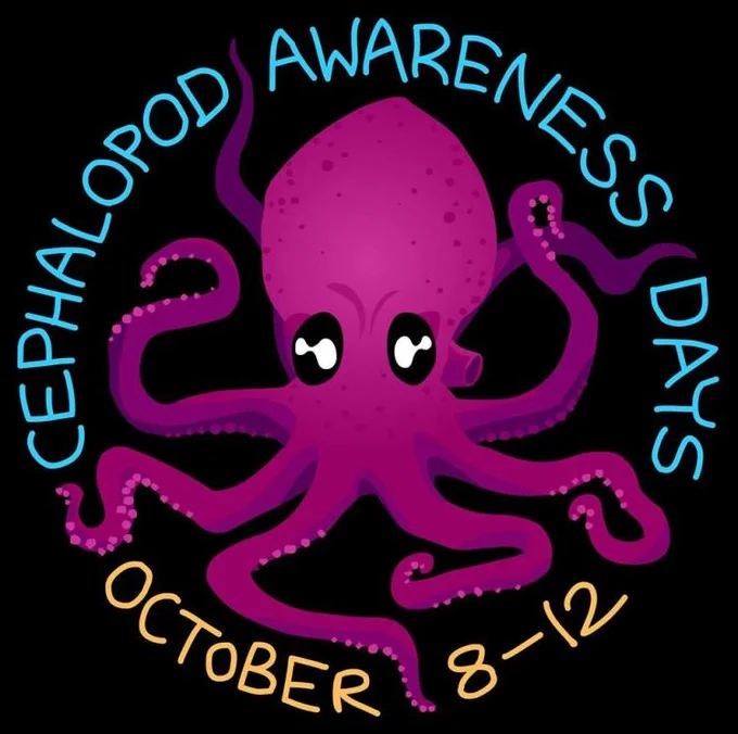 Cephalopod Awareness Days art by Jason Robertshaw