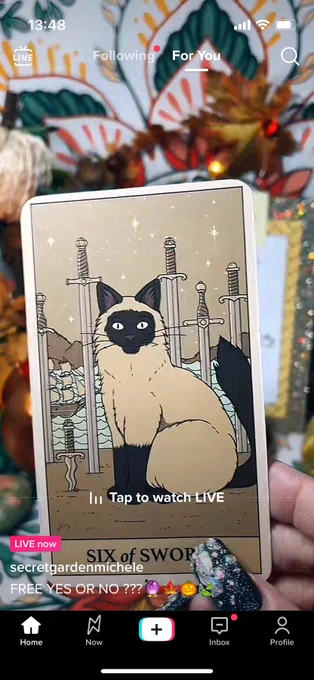 somebody holding up a six of swords tarot card (the deck is cat themed it appears)