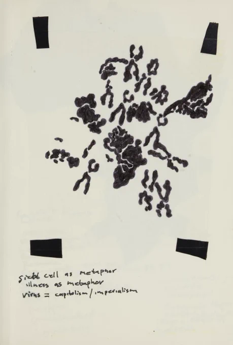 A black and white pen drawing of human sickle cells labelled ‘sickle cell as metaphor, illness as metaphor, virus = capitalism/imperialism’