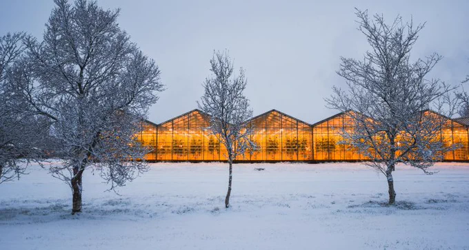 Greenhouse lit up in winter landscape