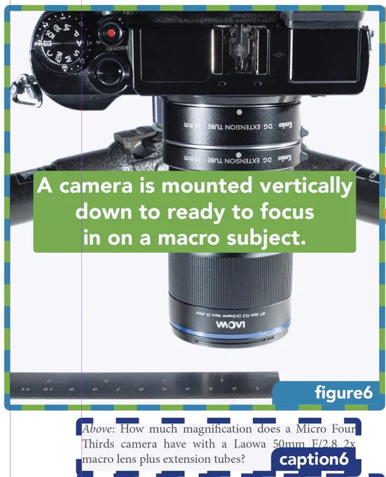 An InDesign page layout showing the artwork with superimposed images descriptions, reading order and associated captions.