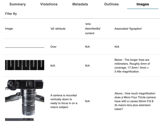 An ACE by DAISY report showing the correctly applied alt tags and  associate fig caption.