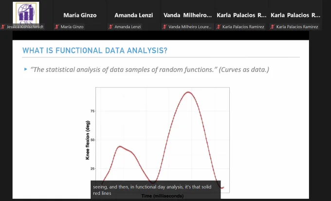 Webinar screenshot: What is functional data analysis? The statistical analysis of data samples of random functions (curves as data)