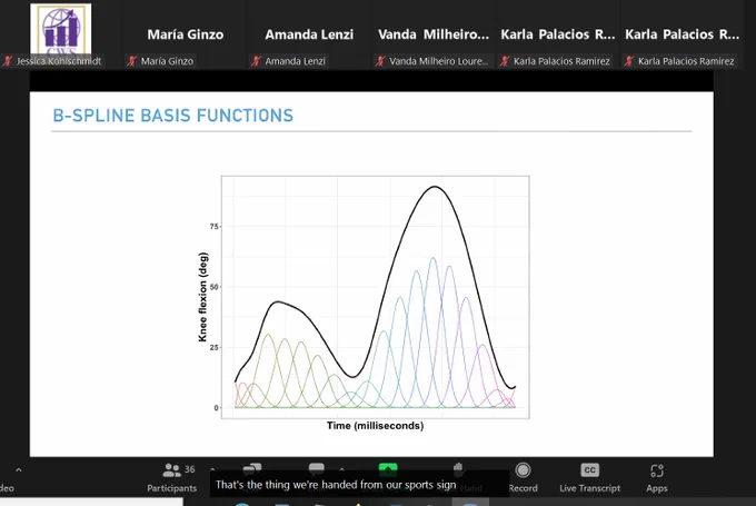B-spline basis functions GIF