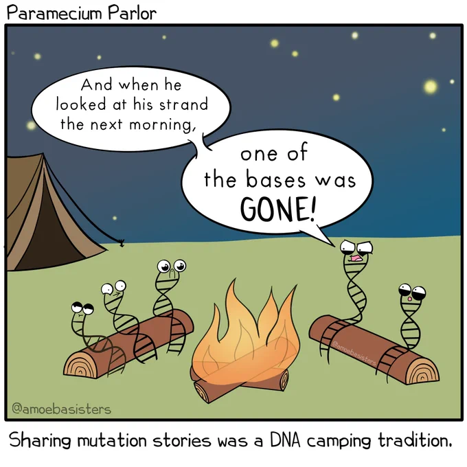 Paramecium Parlor comic by Amoeba Sisters. Cartoon DNA strands are sitting around a campfire. One DNA strand is telling a scary story. "And when he looked at his strand the next morning, one of the bases was GONE!" Caption at bottom of image: Sharing mutation stories was a DNA camping tradition.
