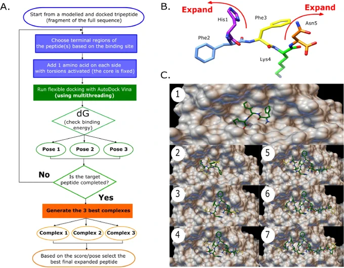 https://github.com/rochoa85/Protocols-Peptide-Binding