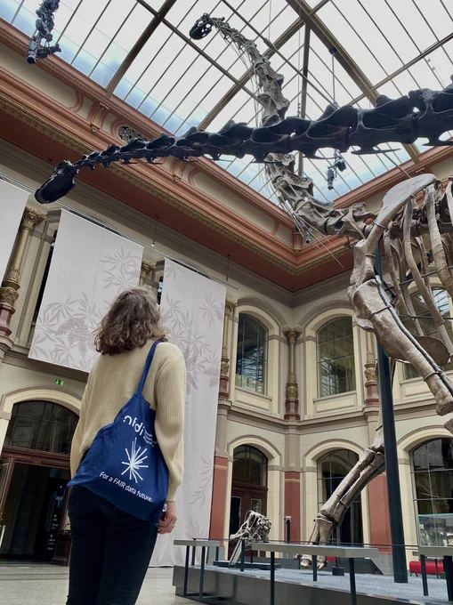 NFDI at the Museum für Naturkunde, Berlin.