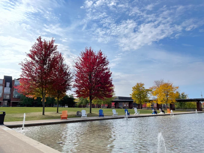 The trees on Polonsky Commons on the south end of the reflecting pool are showing their fall colours on a gorgeous autumn day on our North Campus Location. 