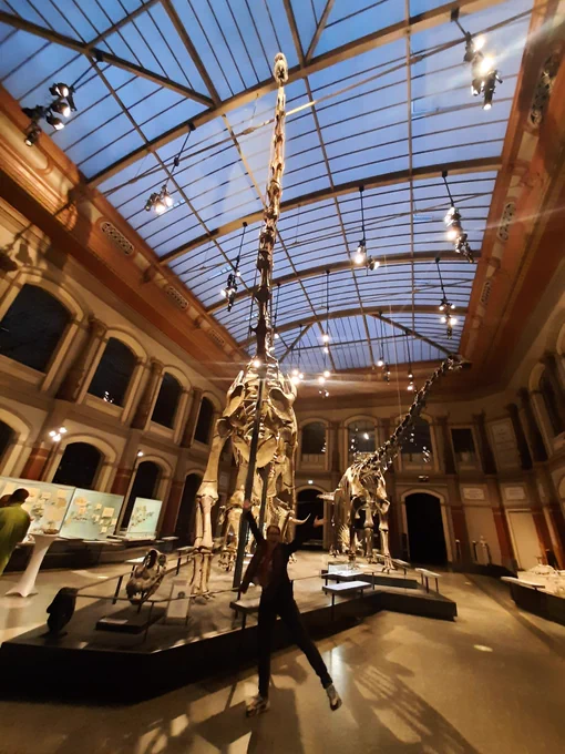 Dinosaurier Skelett im museum für Naturkunde Berlin, ich davor hüpfend