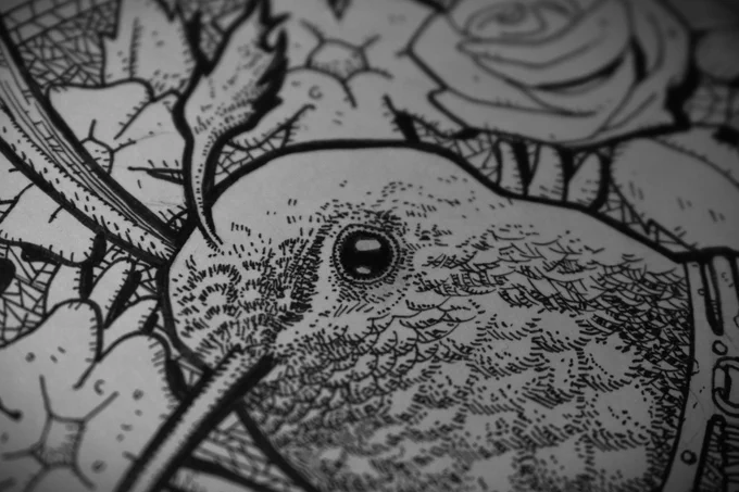 Gros plan d'un dessin d'un colibri dans le style art nouveau / steampunk