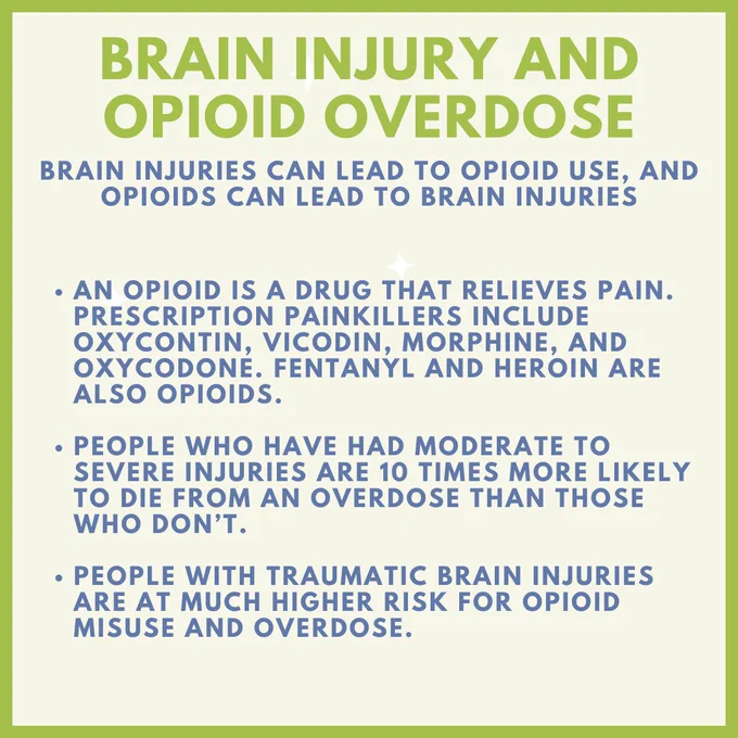 Slide 1 content: Brain Injury and Opioid Overdose. Brain Injuries can lead to opioid use and use of opioids can lead to brain injuries. An opioid is a drug that relieves pain. Prescription painkillers include oxycontin, Vicodin, morphine, and oxycodone. Fentanyl and heroin are also opioids. People who have had moderate to severe injuries are 10 times more likely to die from an overdose than those who don’t. 