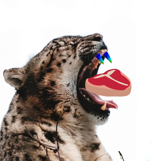 Photo credit Max van den Oetelaar (snow leopard) via Unsplash 