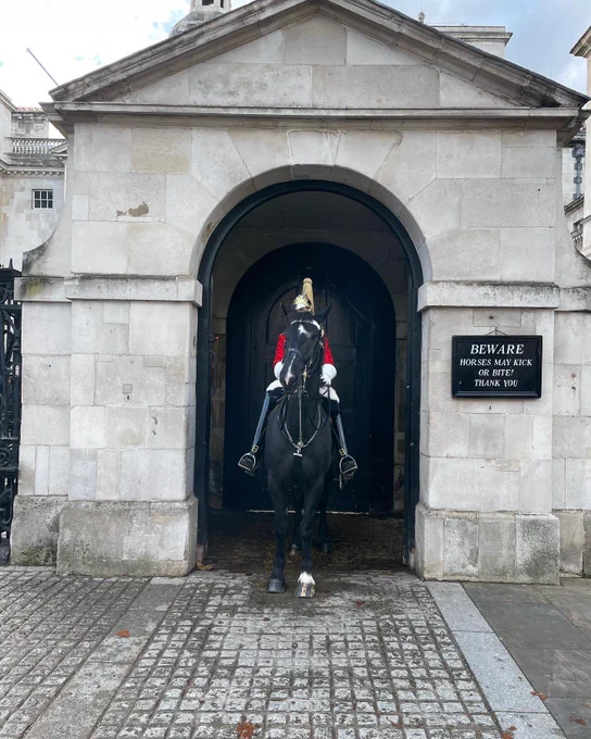 A mounted guard on horseback inside an archway.