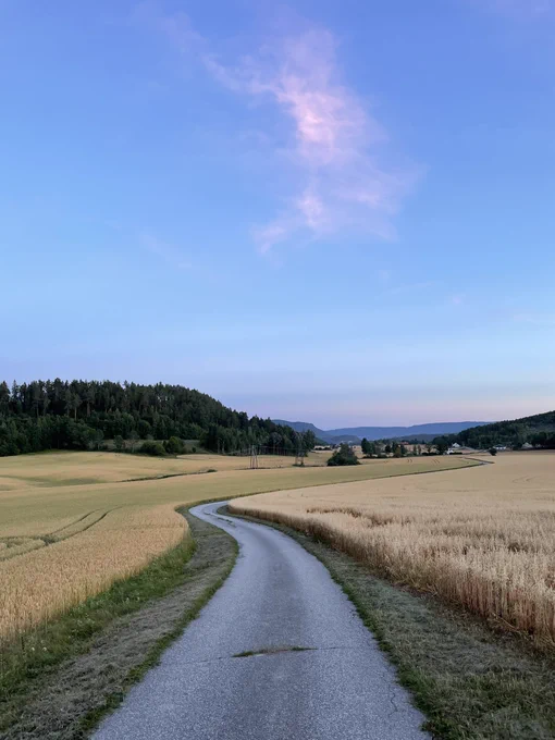 Agriculture landscape