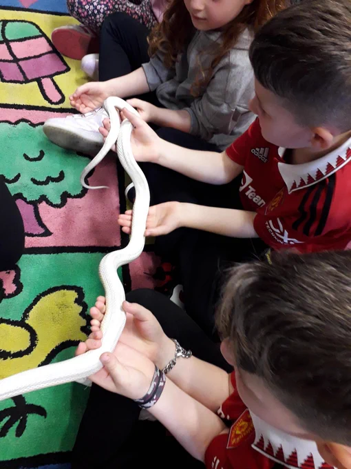 Children handling a snake