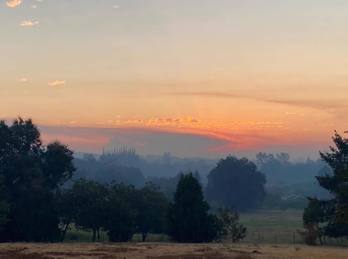 landscape of open forest land with smokey skies in the background.