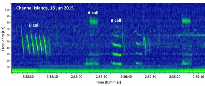Three blue whale call types recorded on June 18, 2018 at the NOAA-NPS Ocean Noise Reference Station Network recording site in the Channel Islands National Marine Sanctuary.