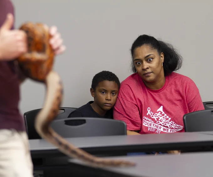 A mother and son watch as Opal, a captive bred rainbow boa, explores a table in the foreground.