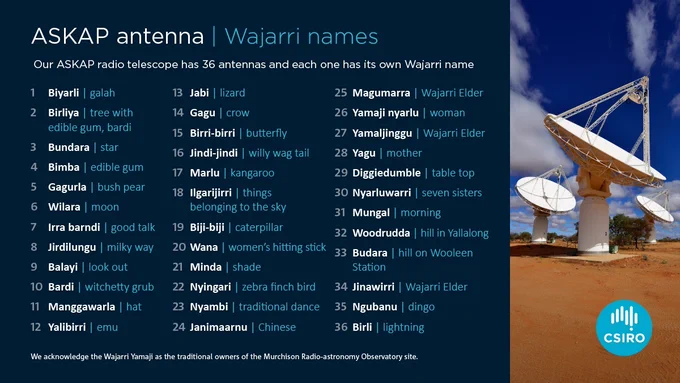ASKAP Antenna – Wajarri names
 
1.	Biyarli - galah
2.	Birliya – tree with edible gum, bardi
3.	Bundara - star
4.	Bimba- edible gum
5.	Gagurla – bush pear
6.	Wilara - moon
7.	Irra barndi – good talk
8.	Jirdilungu – milky way
9.	Balayi – look out
10.	Bardi – witchetty grub
11.	Manggawarla - hat
12.	Yalibirri - emu
13.	Jabi - lizard
14.	Gagu - crow
15.	Birri-birri - butterfly
16.	Jindi-jindi – willy wag tail
17.	Marlu - kangaroo
18.	Ilgarijirri – things belonging to the sky
19.	Biji-biji - caterpillar
20.	Wana – women’s hitting stick
21.	Minda - shade
22.	Nyingari – zebra finch bird
23.	Nyambi – traditional dance
24.	Janimaarnu - Chinese
25.	Magumarra – Wajarri Elder
26.	Yamaji nyarlu - woman
27.	Yamaljinggu – Wajarri Elder
28.	Yagu - mother
29.	Diggiedumble – table top
30.	Nyarluwarri – seven sisters
31.	Mungal - morning
32.	Woodrudda – Hill in Yallalong
33.	Budara – hill on Wooleen Station
34.	Jinawirri – Wajarri Elder
35.	Ngubanu - dingo
36.	Birli - lightning
