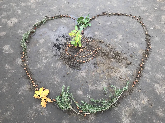 Tree planted by XR Youth in Parliament Square
