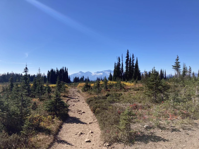 A photo of a drift trail cutting through a subalpine meadow. Snow capped mountain peaks rise in the background.
