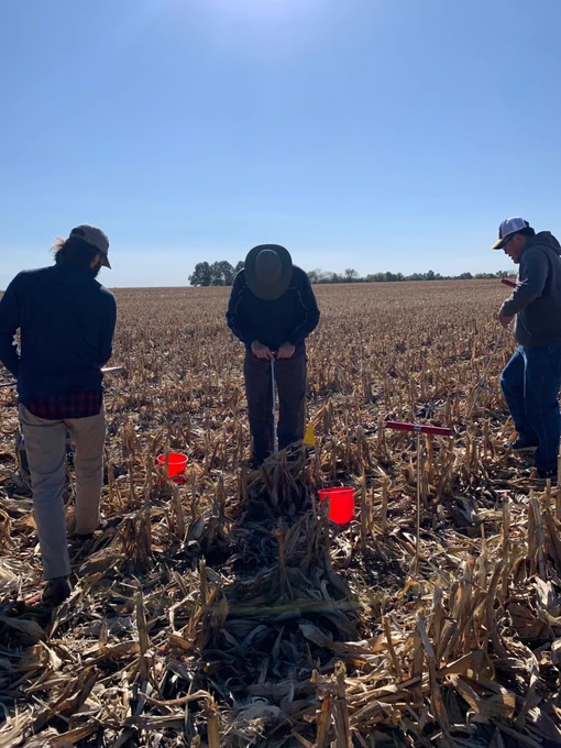 .@MUStripTrials soil sampling long-term cover crop comparison trial in Marion County.  We are working with Dr. Jordon Wade at MU to evaluate impact of covercrops on soil health. @MUExtension also tracking yield & residue cover. @Mo_Soy #2xAg2030 @MissouriCorn