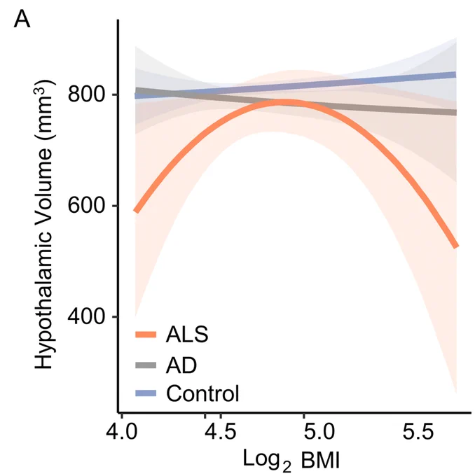 Line graph demonstrating hypothalamic volume follows an inverse U-shaped curve with BMI in patients with ALS. There is no association for patients with Alzheimer's Disease and non-neurodegenerative disease controls.